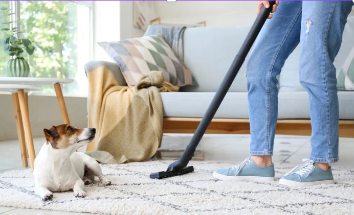best cleaning tools 2025